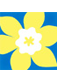 Canadian Cancer Society